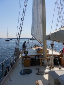 DSCN0230