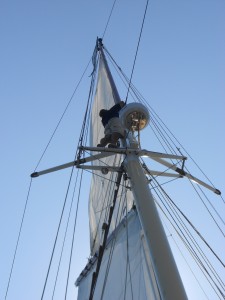 DSCN0231
