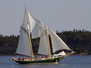 Schooner Windjammer
